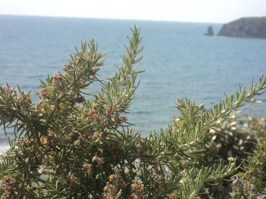 Il Rifugio Del Conte Βίλα Torre dei Corsari Εξωτερικό φωτογραφία